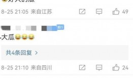 张颖颖爆料分析最新视频,事件真相与幕后黑幕